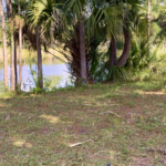 DuPuis Wildlife Preserve and the Hammock Tent That Might Change How I Camp