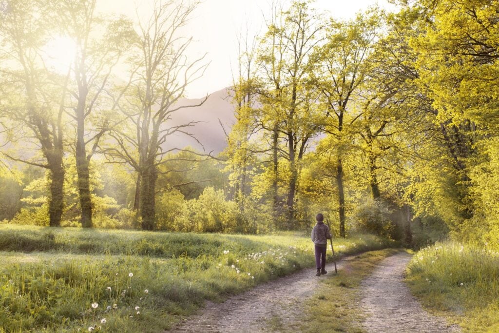 forest-bathing-photo-2