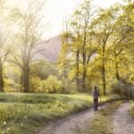 Why a 20-Minute Walk in the Woods Might Be Better Than a Week’s Vacation