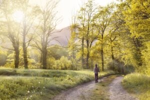 forest-bathing-photo-2