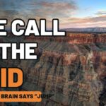 The Call of the Void: Why Your Brain Says “Jump” at the Edge