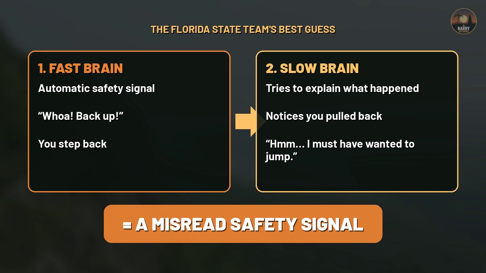 Infographic: The Florida State team's best guess. The fast brain sends an automatic safety signal and you step back; the slow brain notices you pulled back and decides you must have wanted to jump. The result: a misread safety signal